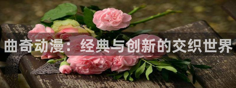 哈哩哈哩电视剧免费观看