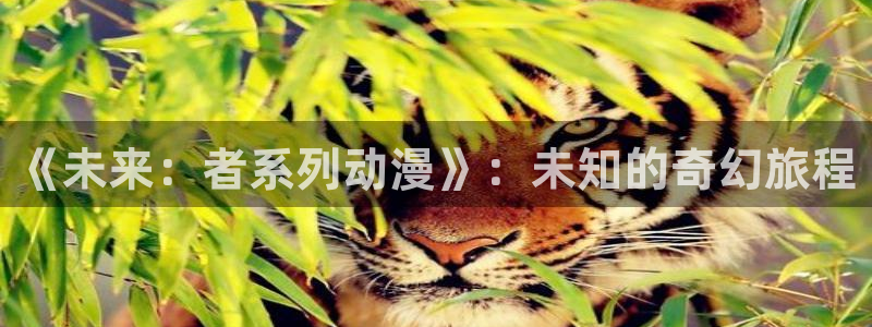 哈哩哈哩app最新版